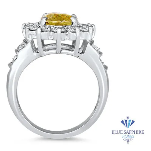 3.38ct Oval Yellow Sapphire Ring with Diamond Halo in 14K White Gold