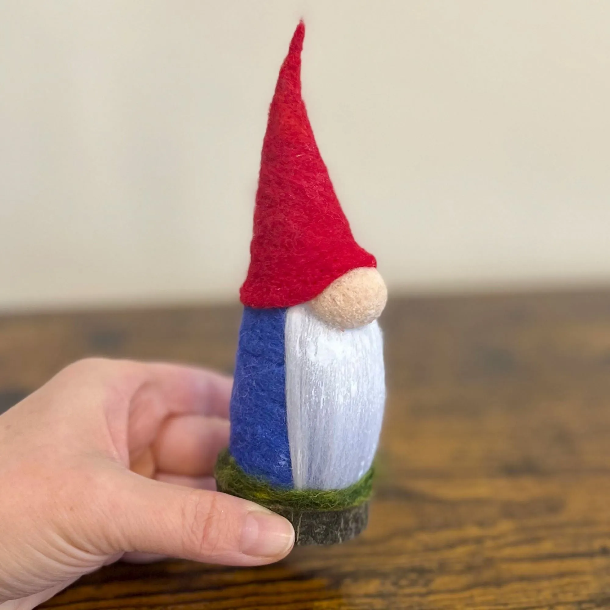 Aerin, The Elder Gnome