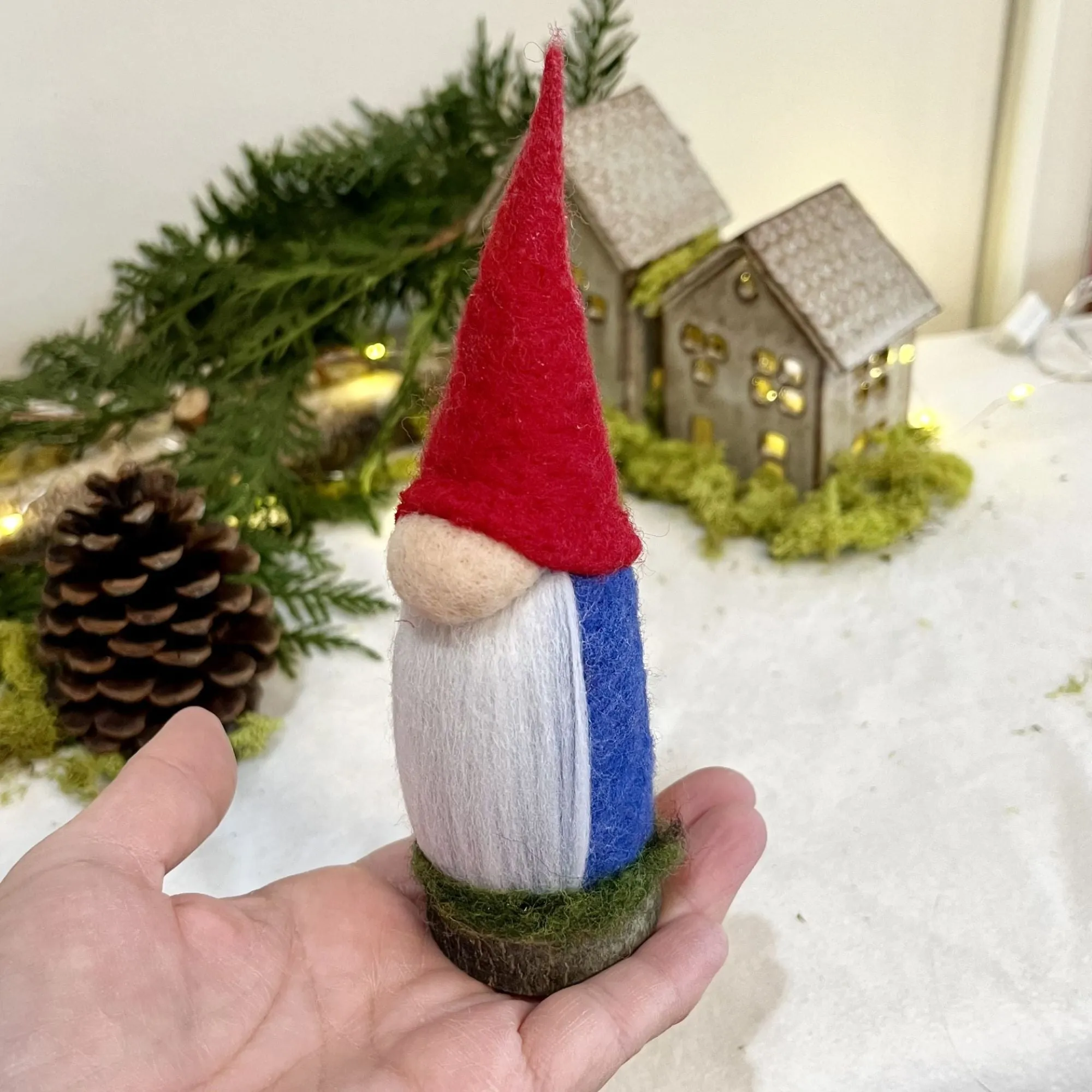 Aerin, The Elder Gnome