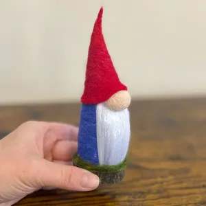 Aerin, The Elder Gnome