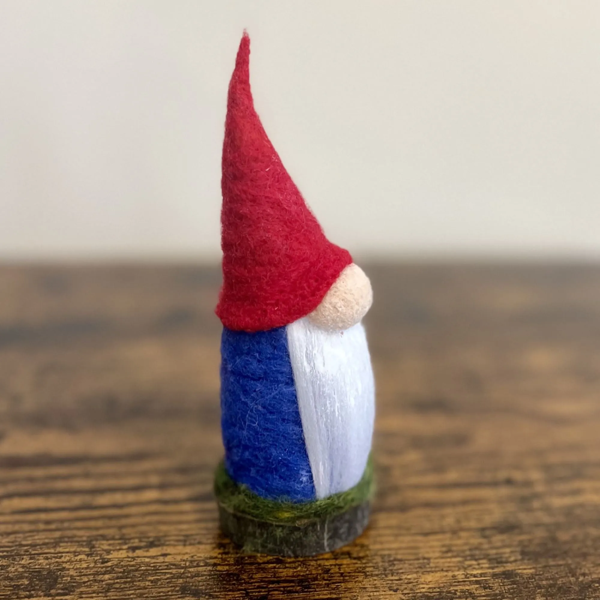 Aerin, The Elder Gnome