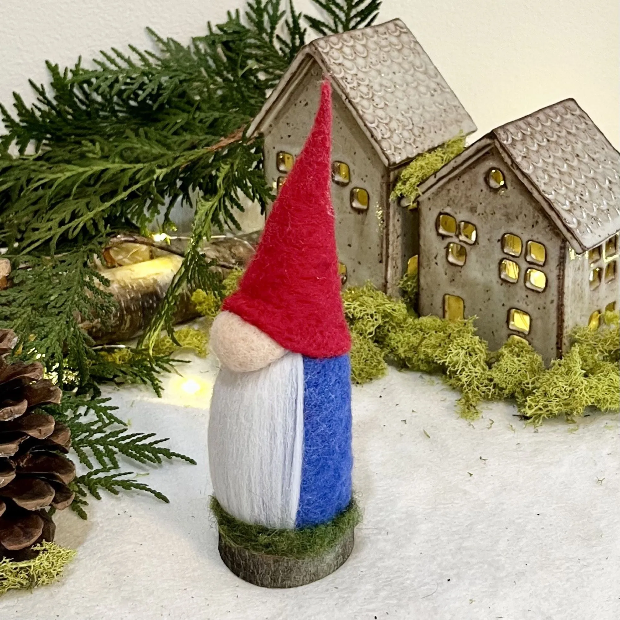 Aerin, The Elder Gnome
