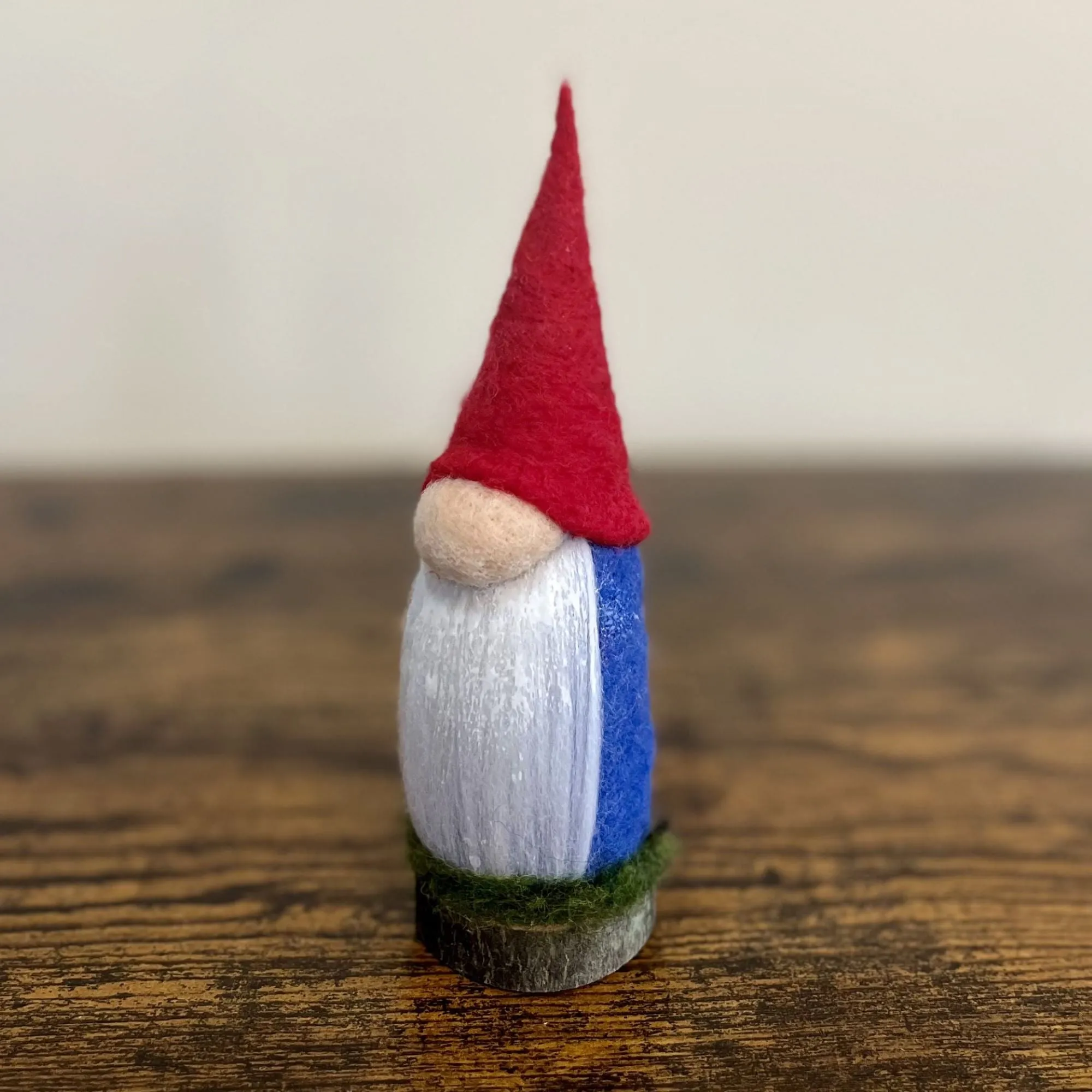 Aerin, The Elder Gnome