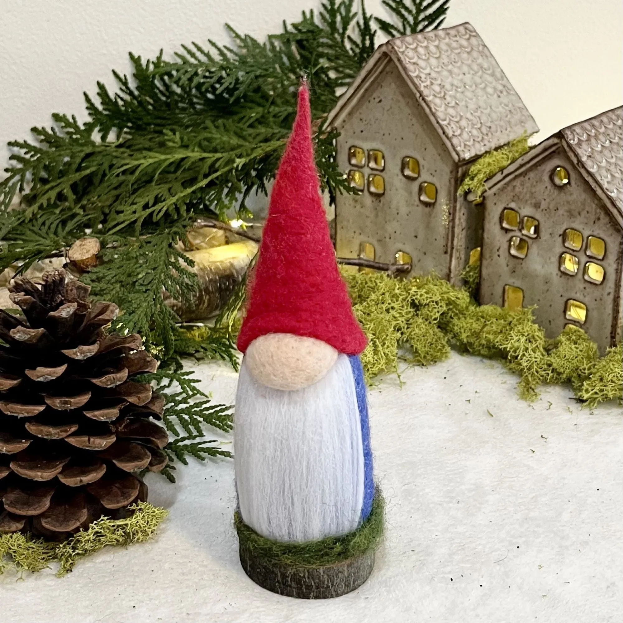 Aerin, The Elder Gnome