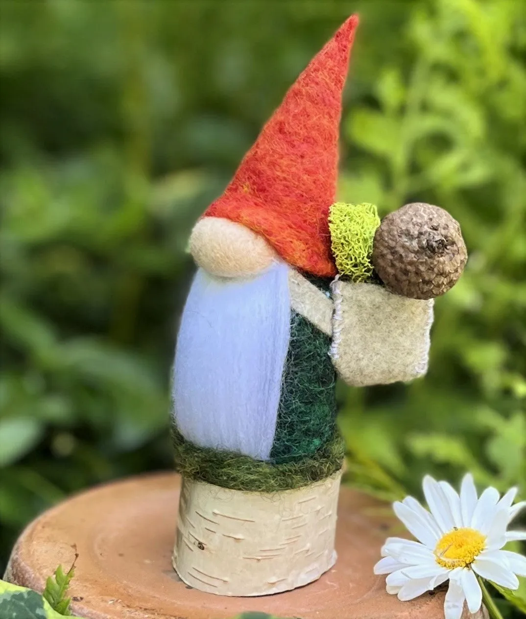 Bashkim, The Gatherer Gnome