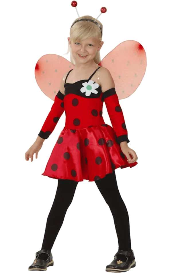 Childrens Ladybird Costume