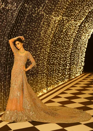 Embroidered gown in peach color with golden embroidered work # B3373