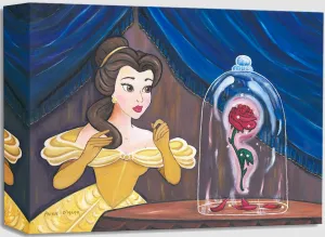 Enchanted Rose (Treasures)