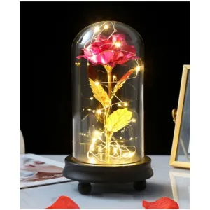 Enchanted Rose