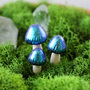 Galaxy Fairy Mushrooms