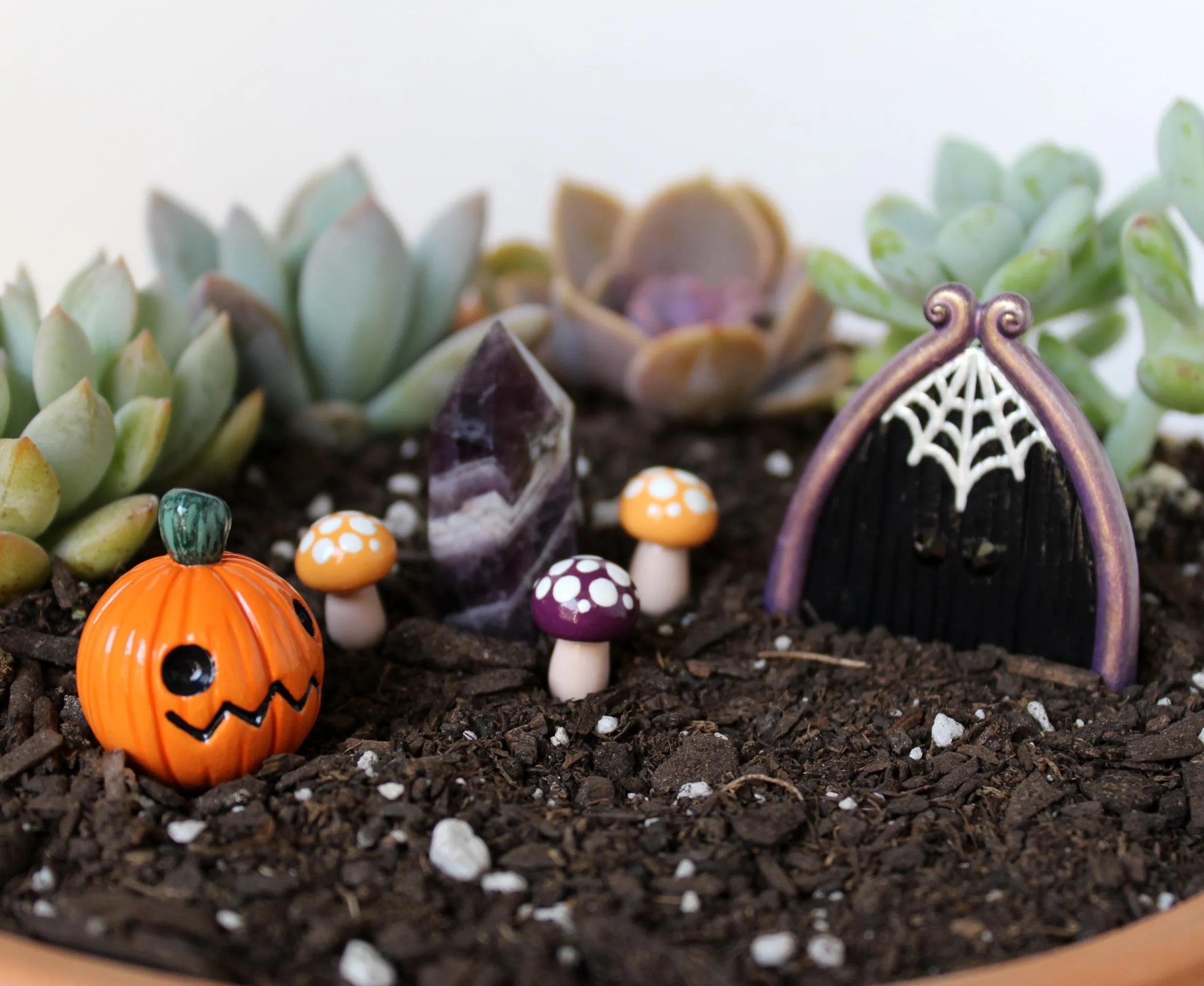 Halloween Fairy Garden Kit