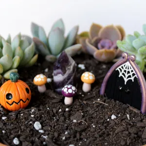 Halloween Fairy Garden Kit
