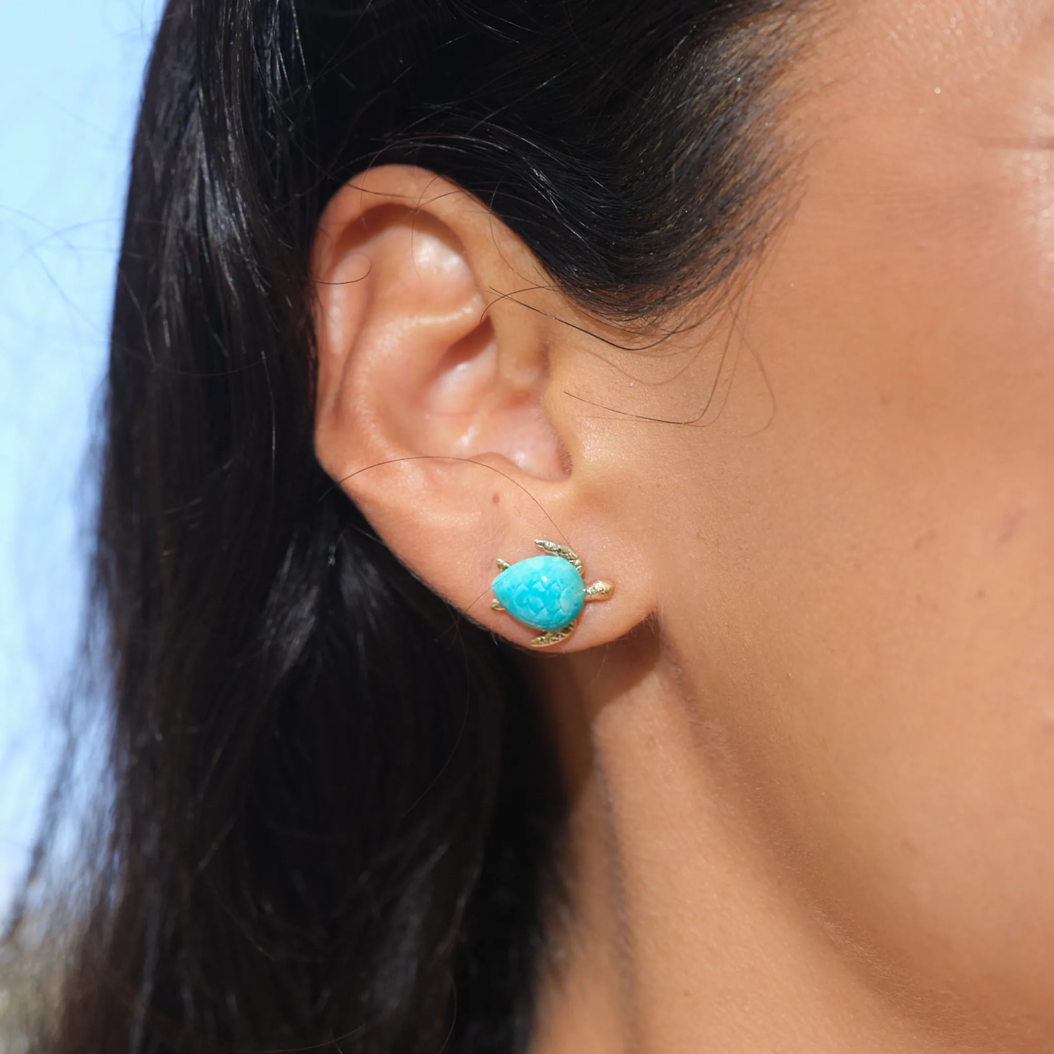 Honu Turquoise Earrings in Gold - 13mm