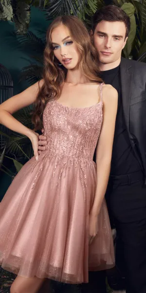 Ladivine CD0212 Layered Tulle A-Line Short Dress