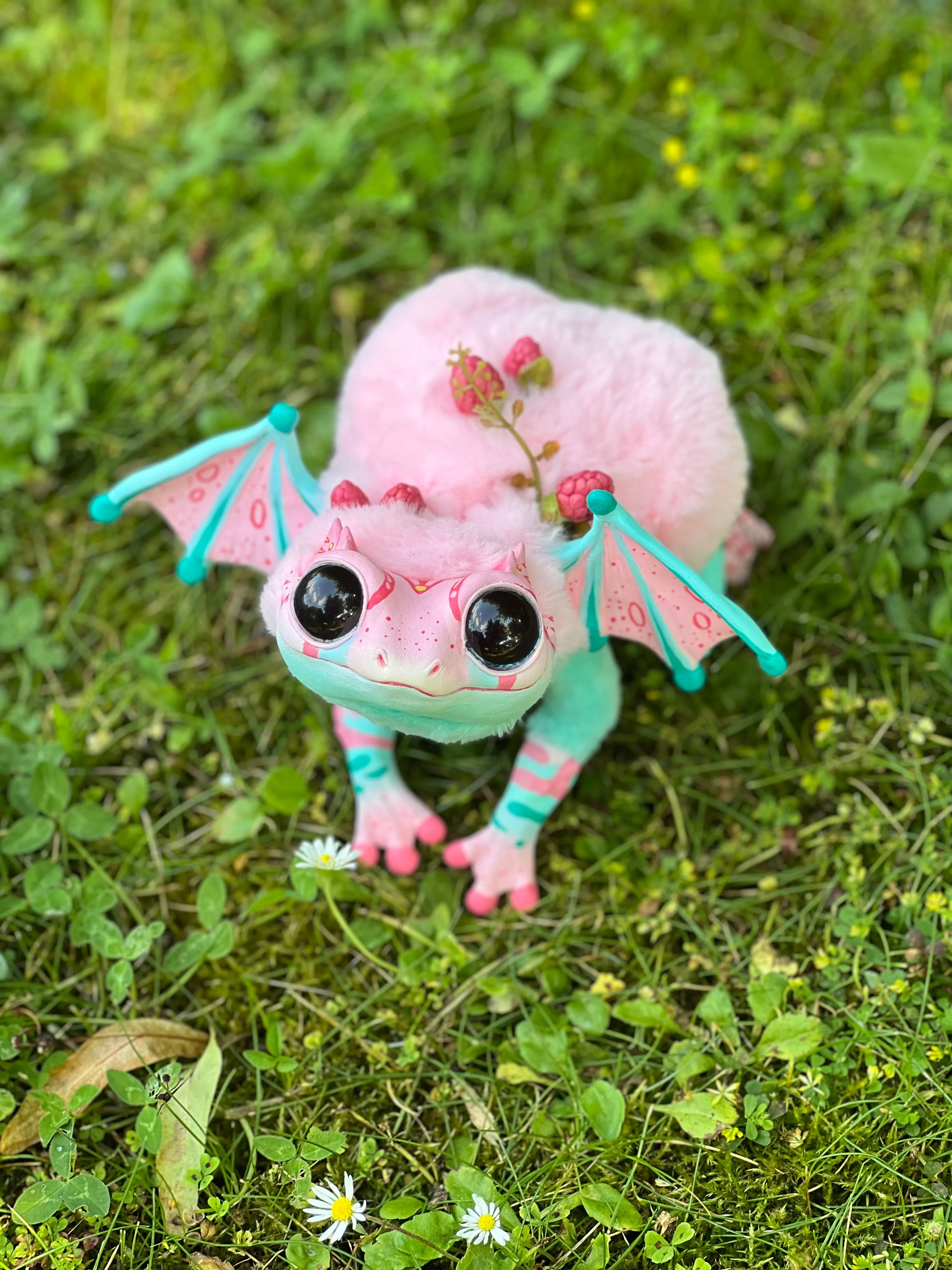 Mercurian frog– Raspbery