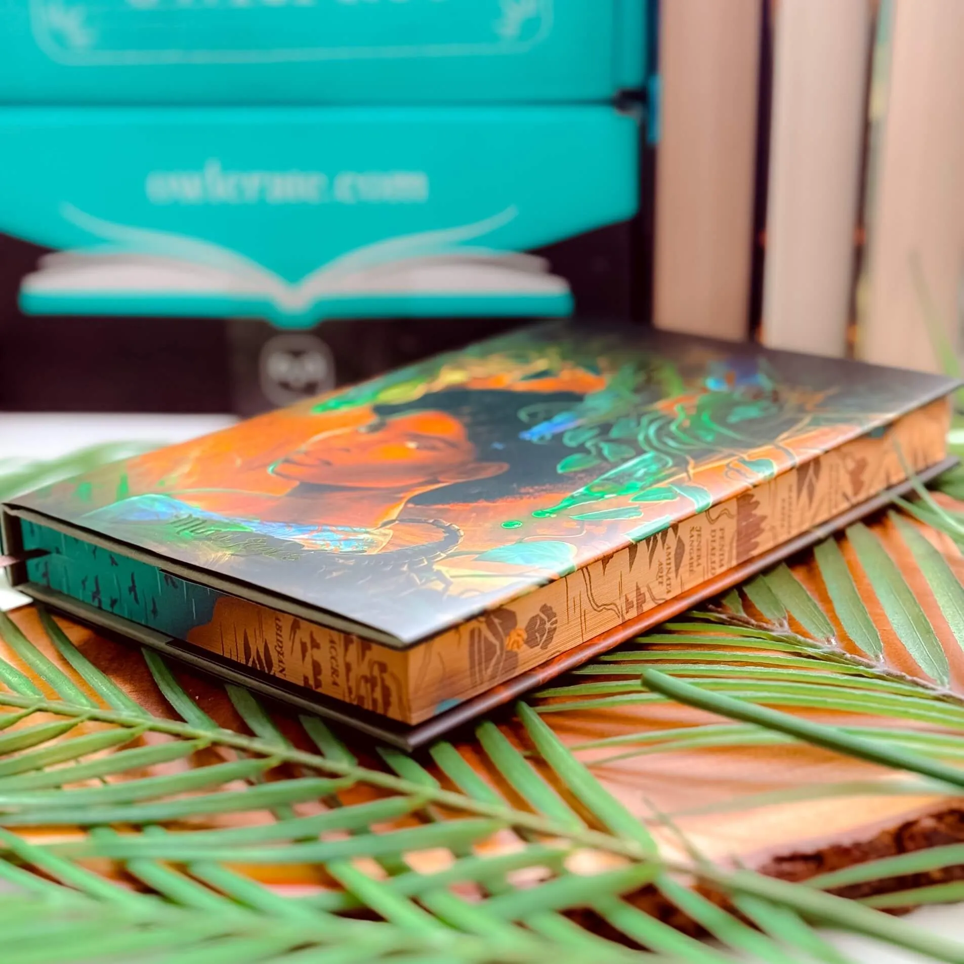 OwlCrate 'RISE BEYOND RUIN' Box
