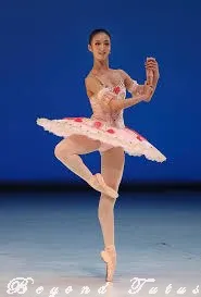 Pink Professional Fairy Doll Tutu