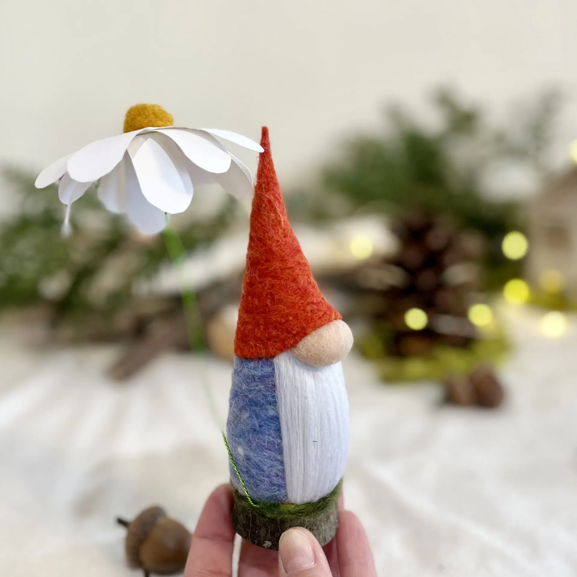Rowan, the Garden Gnome
