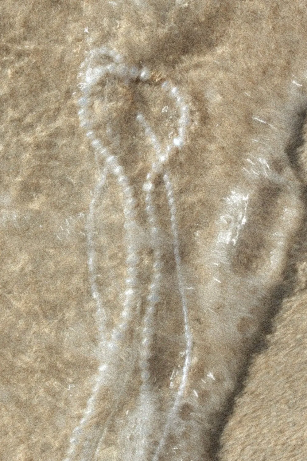 The Daphne Necklace