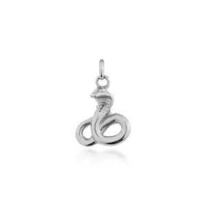 Year of the Snake