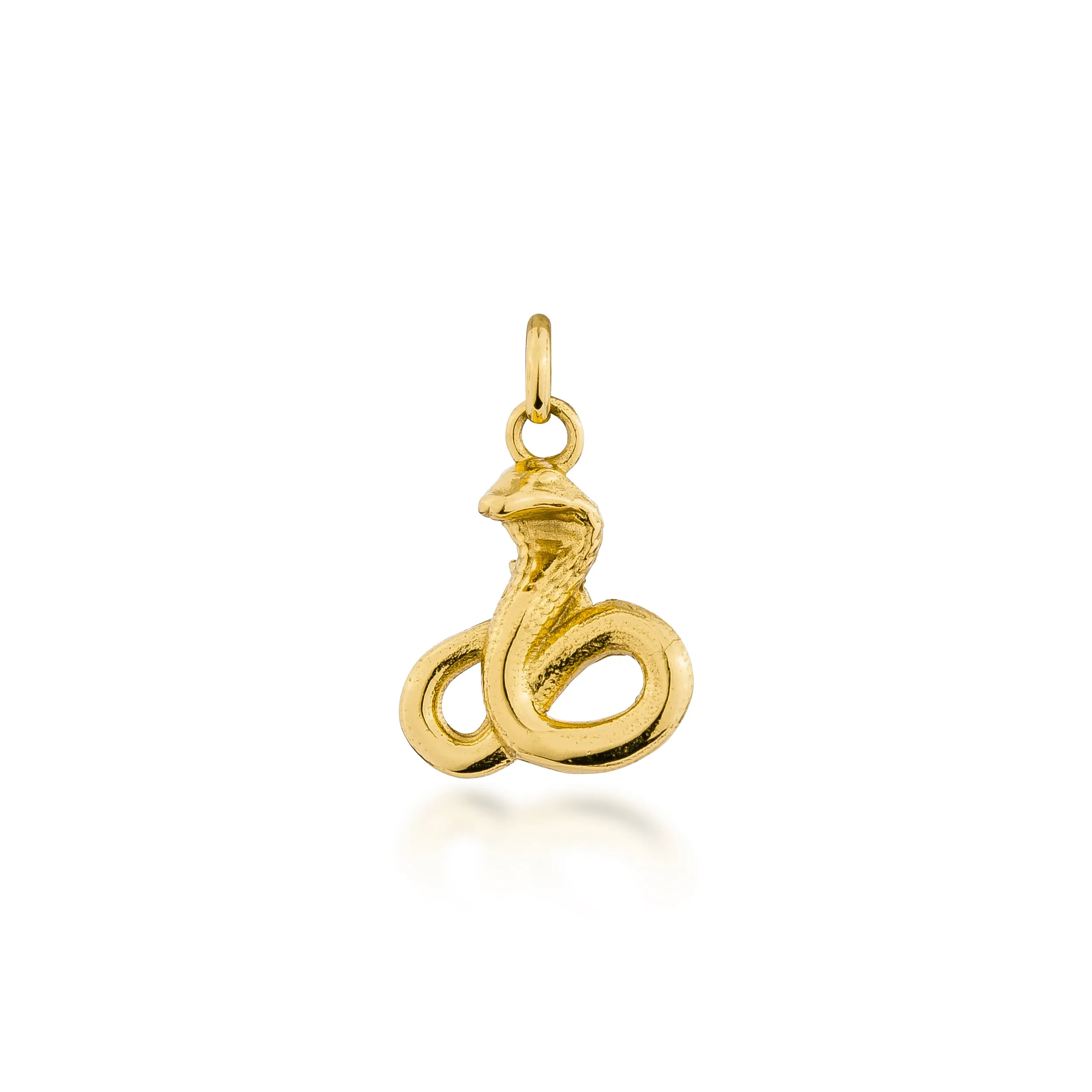 Year of the Snake