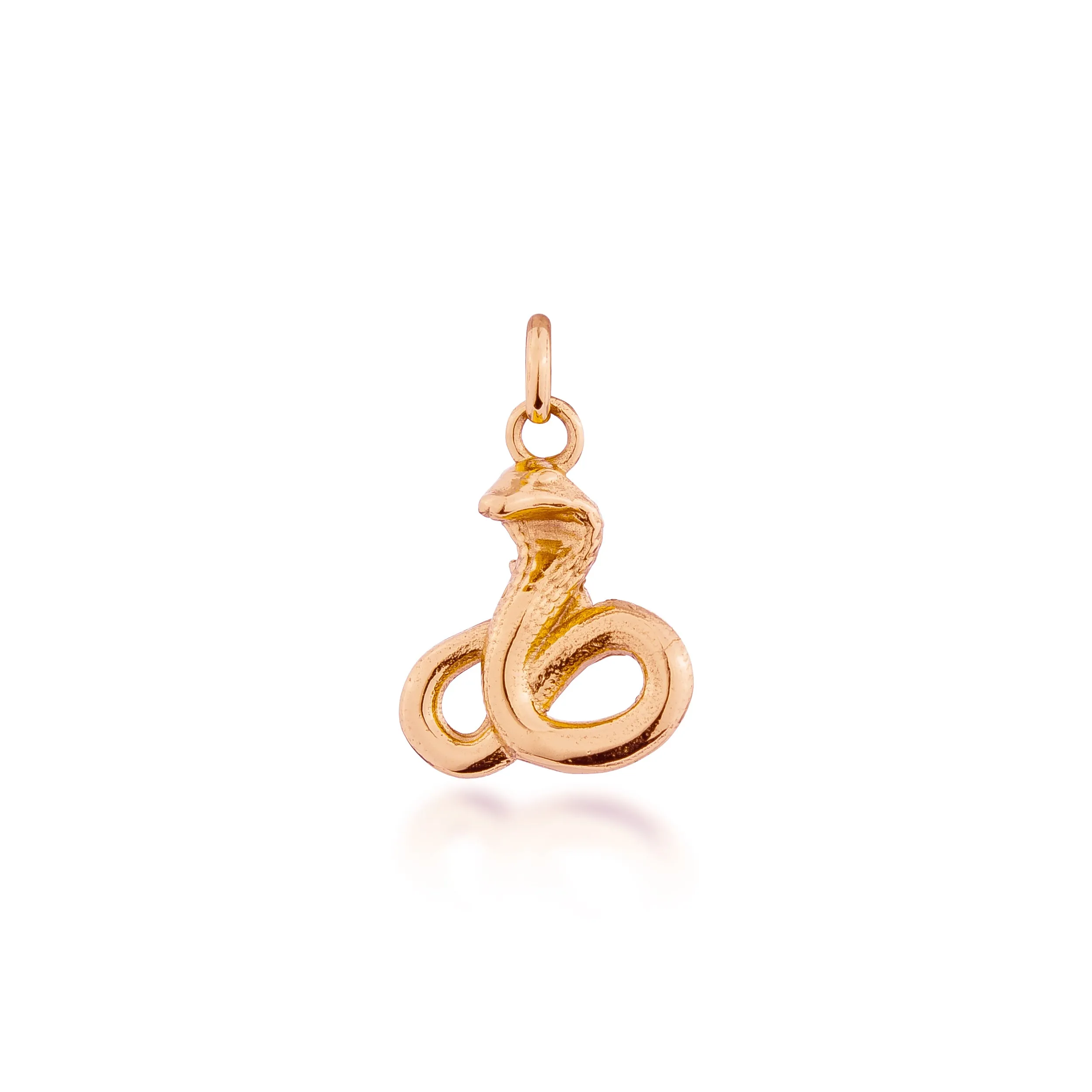 Year of the Snake