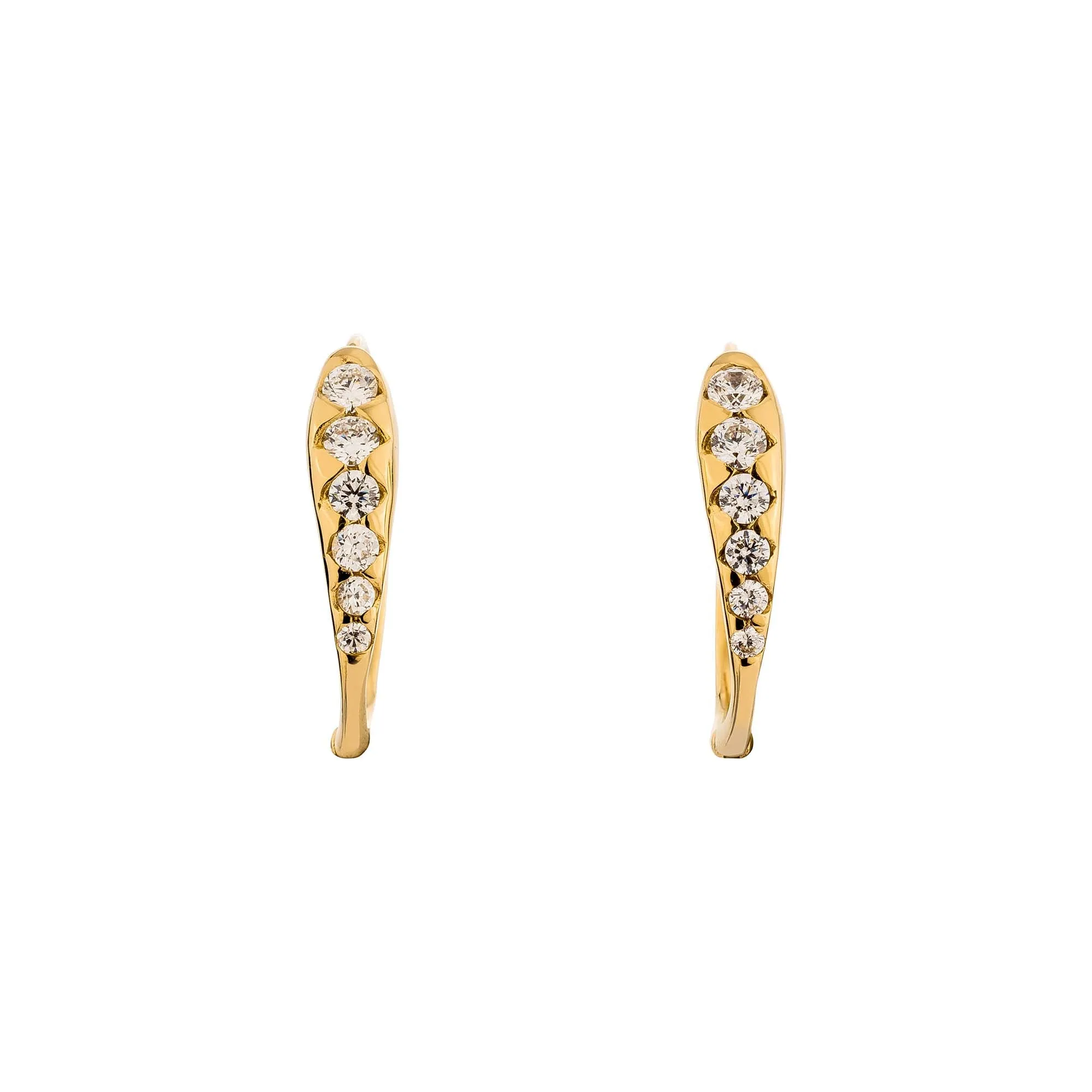 Zodiac Hoop Earrings