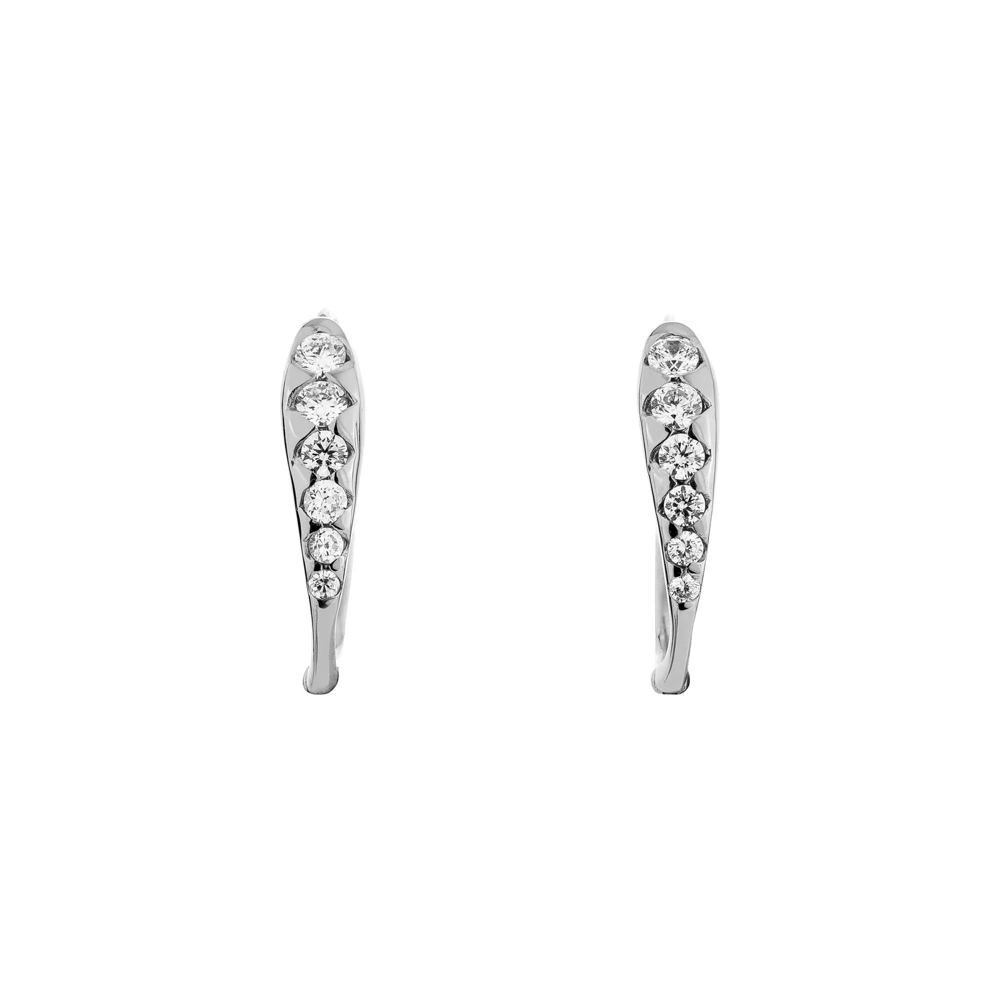 Zodiac Hoop Earrings