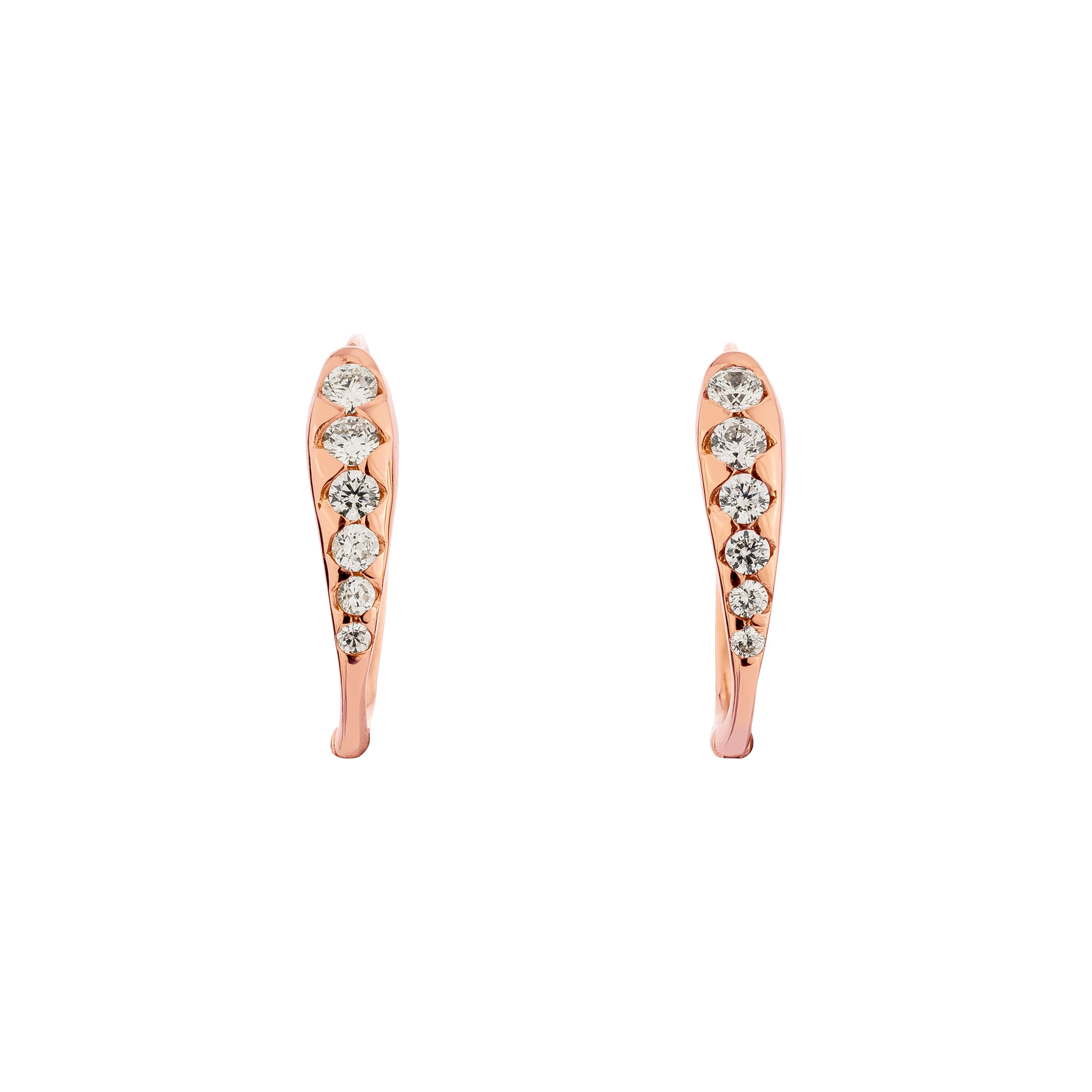 Zodiac Hoop Earrings